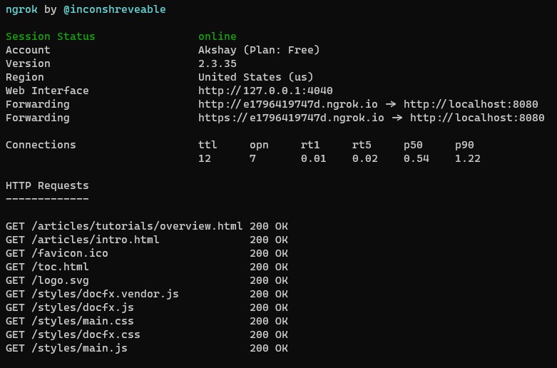 ngrok output on successful command